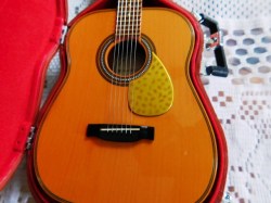 ag guitar view